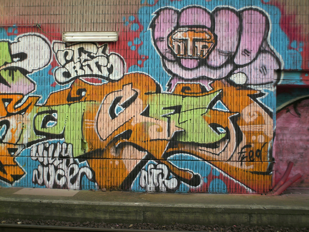 FREDBOY: SCIMMIA THUG